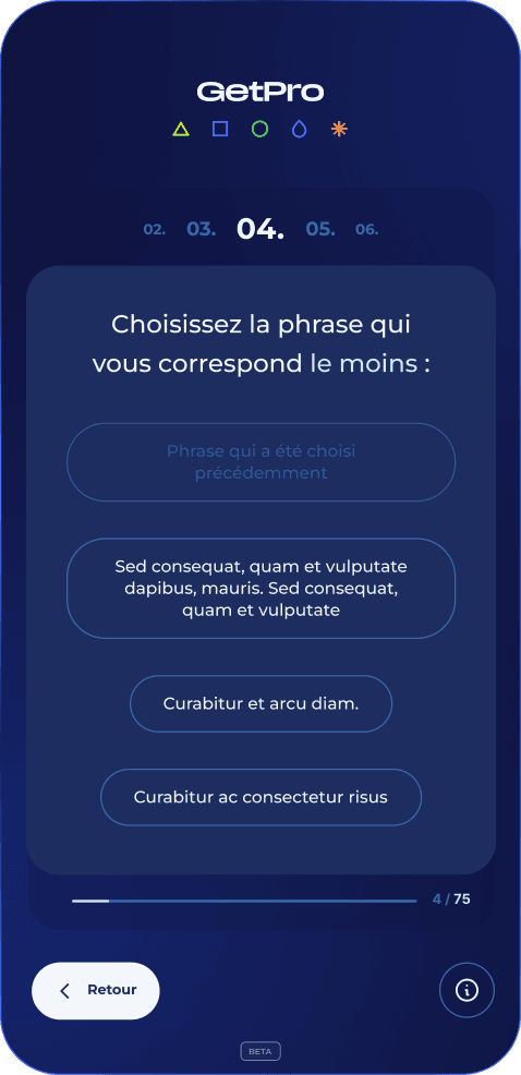 Interface mobile du questionnaire